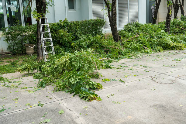 Best Utility Line Clearance  in Tchula, MS